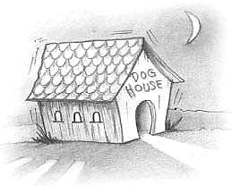 Doghouse Agin